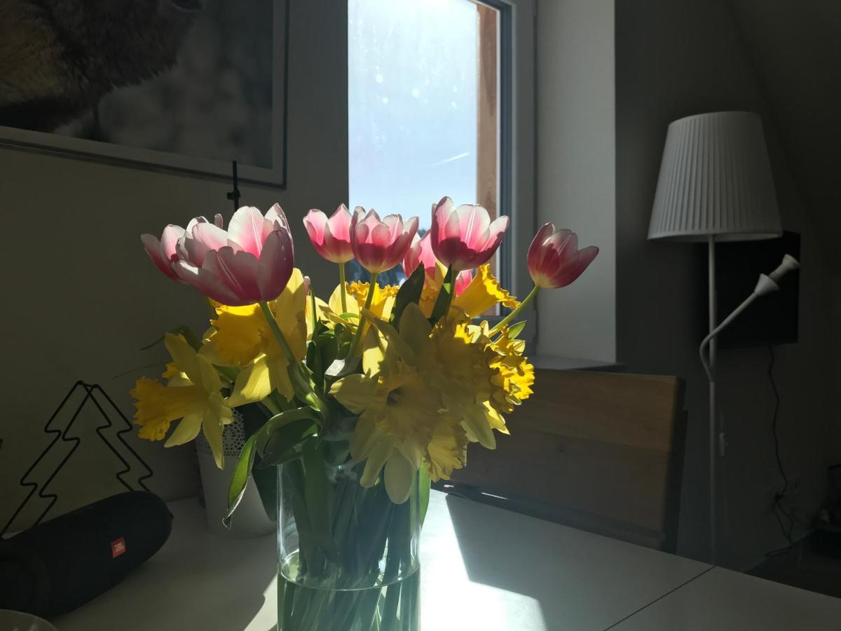 Penzion Kvilda - Lucni Eksteriør billede